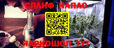 круглые Тара