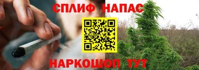 круглые Тара