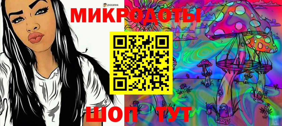 Псилоцибиновые грибы Psilocybe Новоуральск