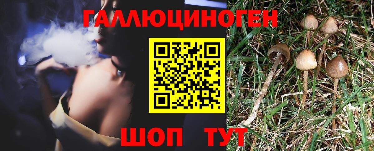Новоуральск  Псилоцибиновые грибы мицелий  Вход с VPN 